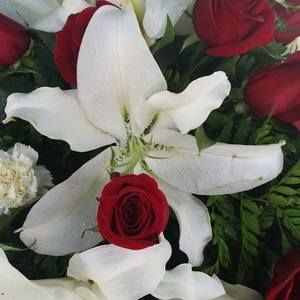 Meet your Posher, Dan